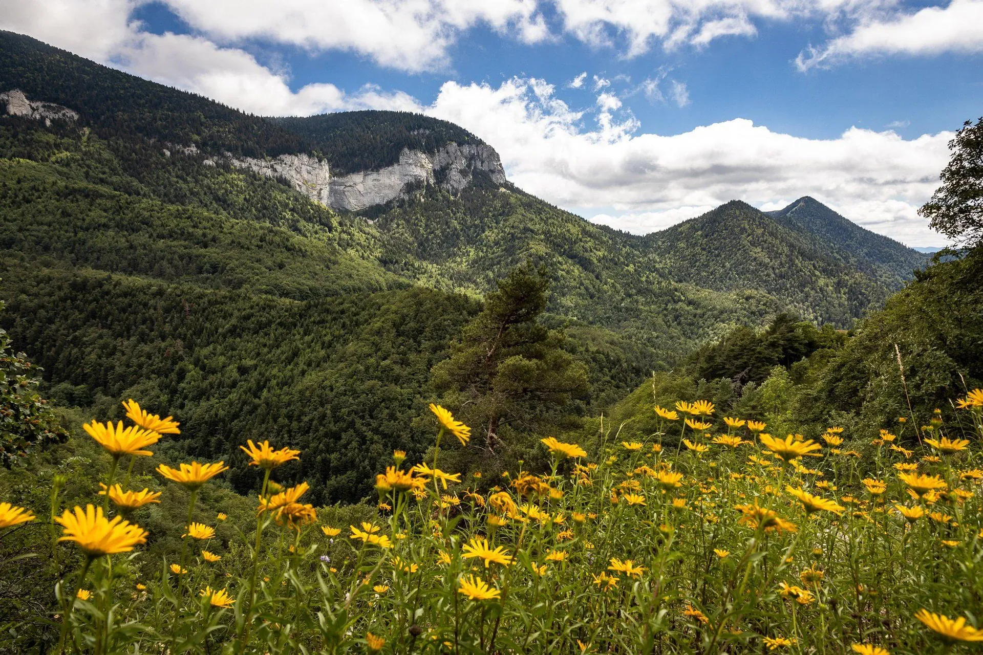 Refuge et skieurs sur le Hardangervidda - Norvège