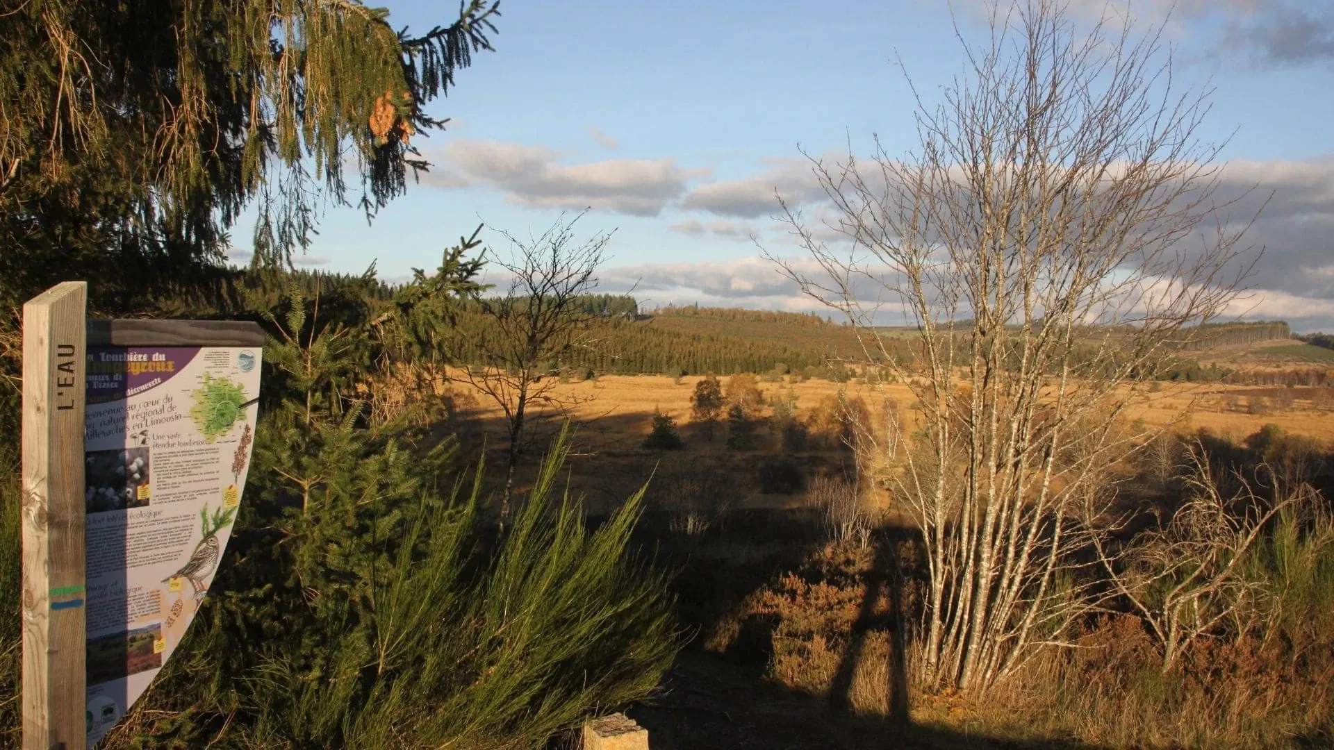 Longeyroux Automne Nov2014 Cp M Mazurier Pnr Millevaches - France