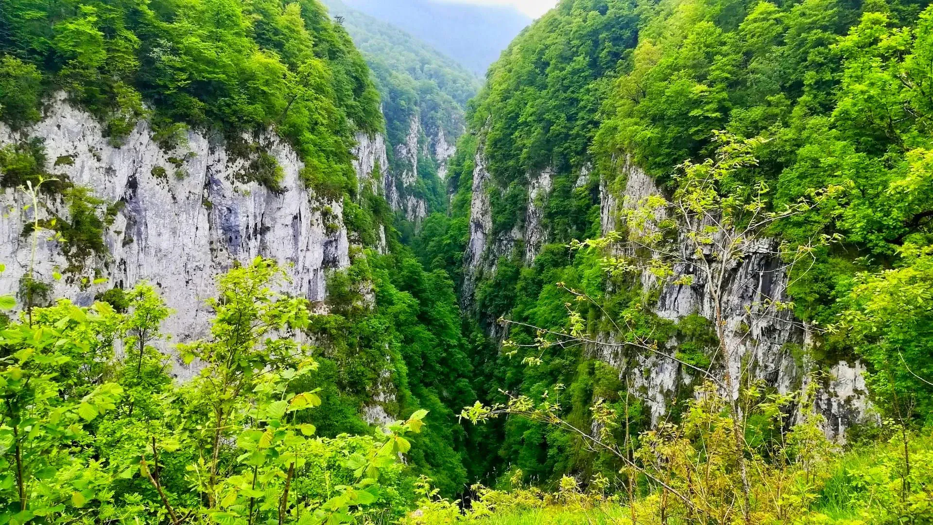 Gorges du Loup - Alpes-Maritimes - France