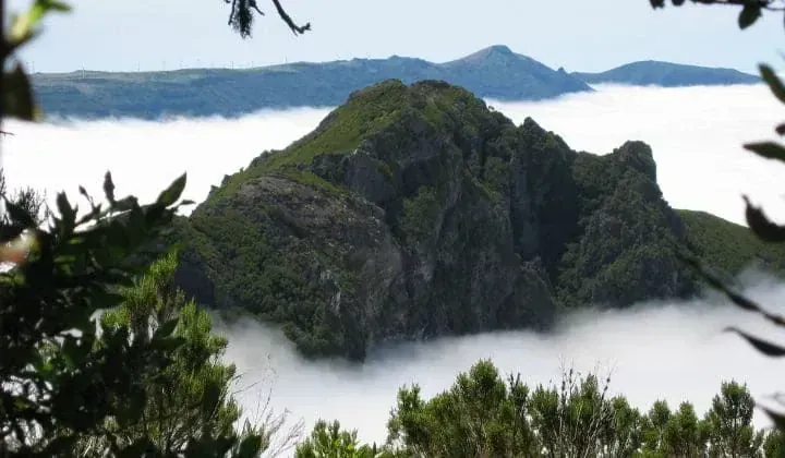 Madere Lise Carrichon - Madère