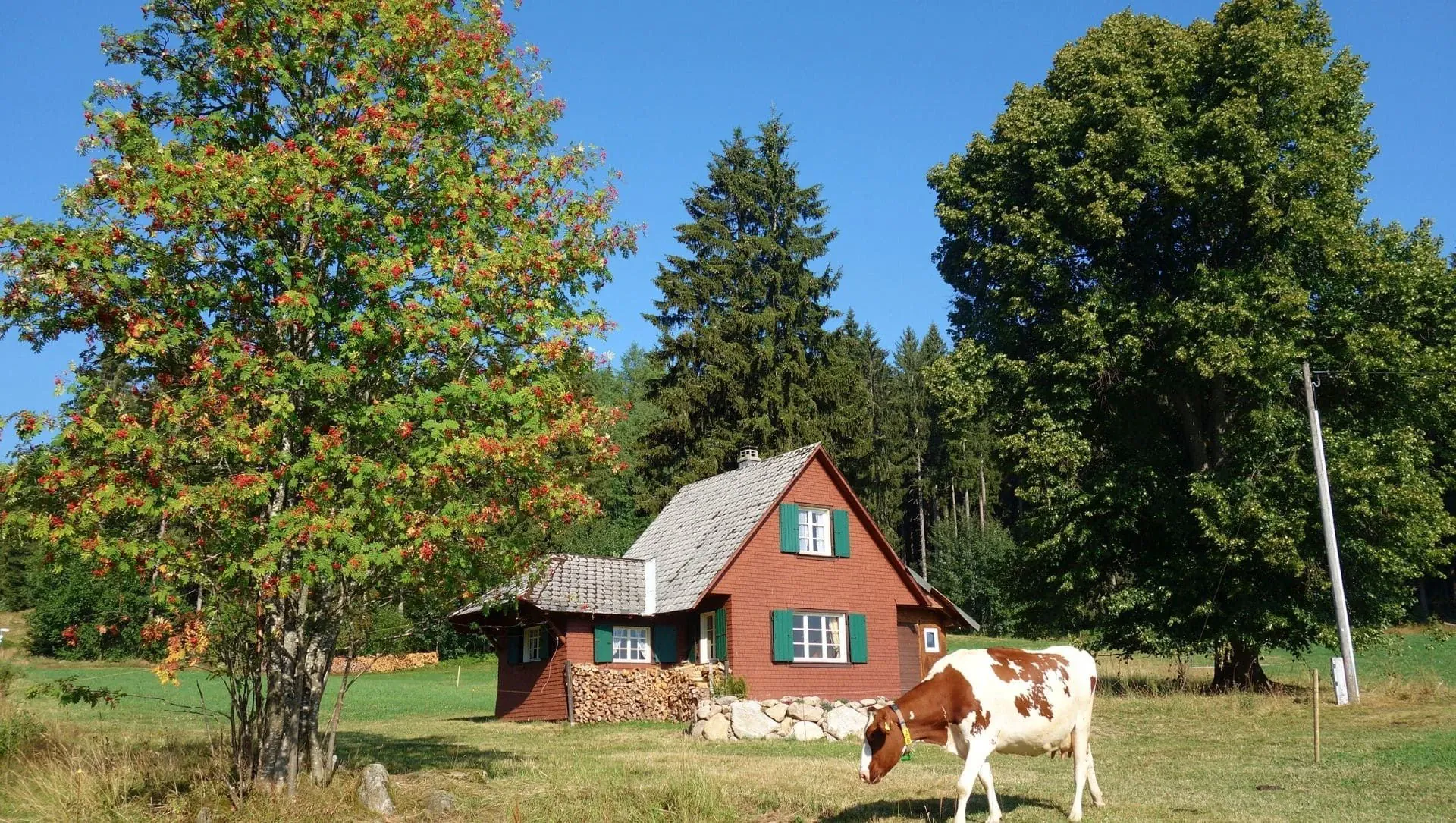 Maison Hinterzarten C Raymond Chabanier - Allemagne © Raymond Chabanier