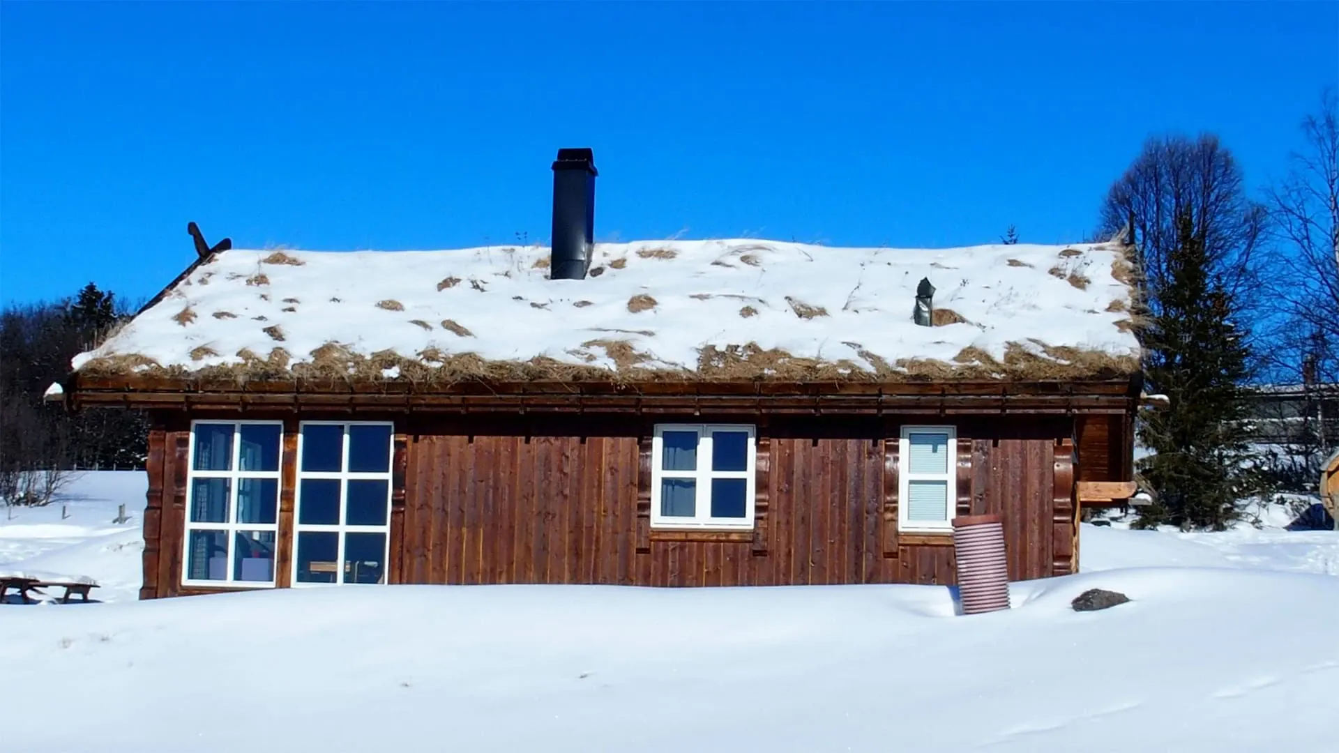 Maison Toit Paille Norvege - Norvège