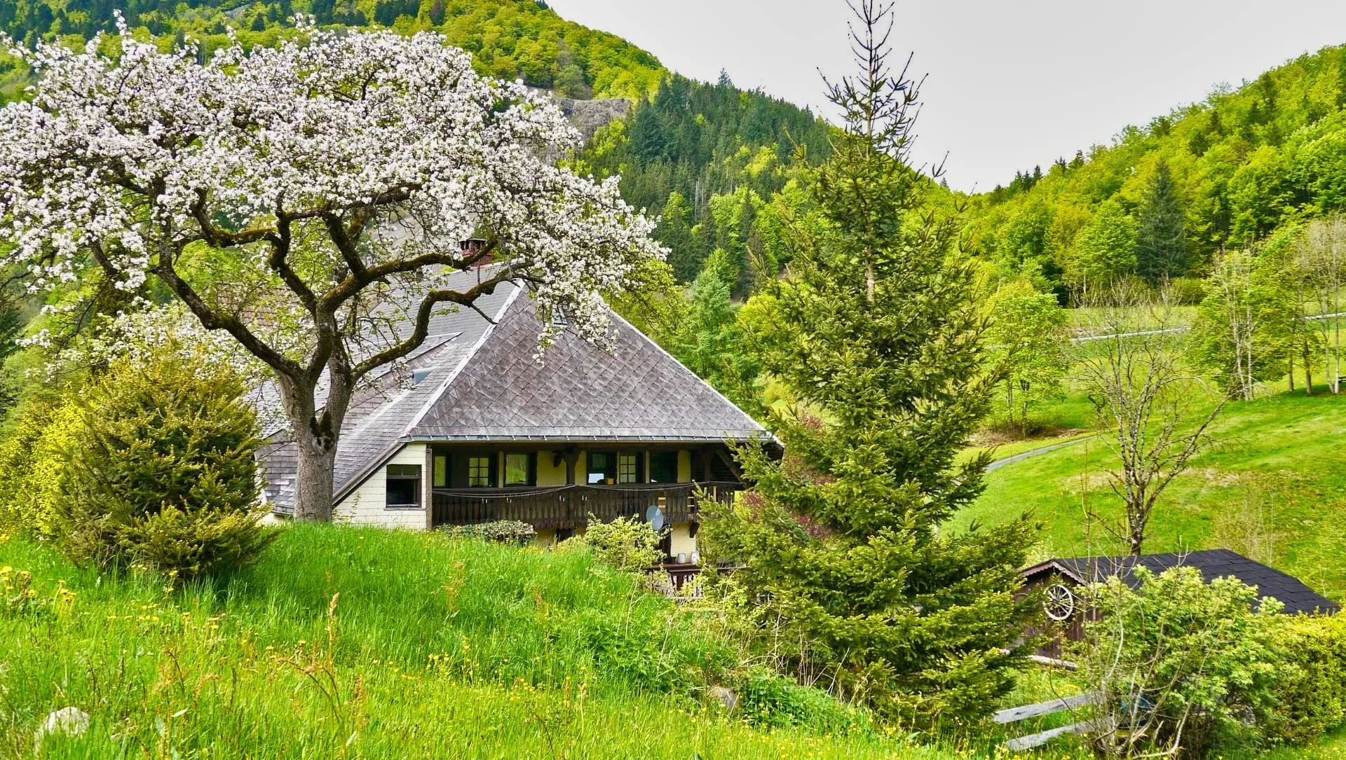 Maison Traditionnelle En Foret Noire C Adobestock - Allemagne