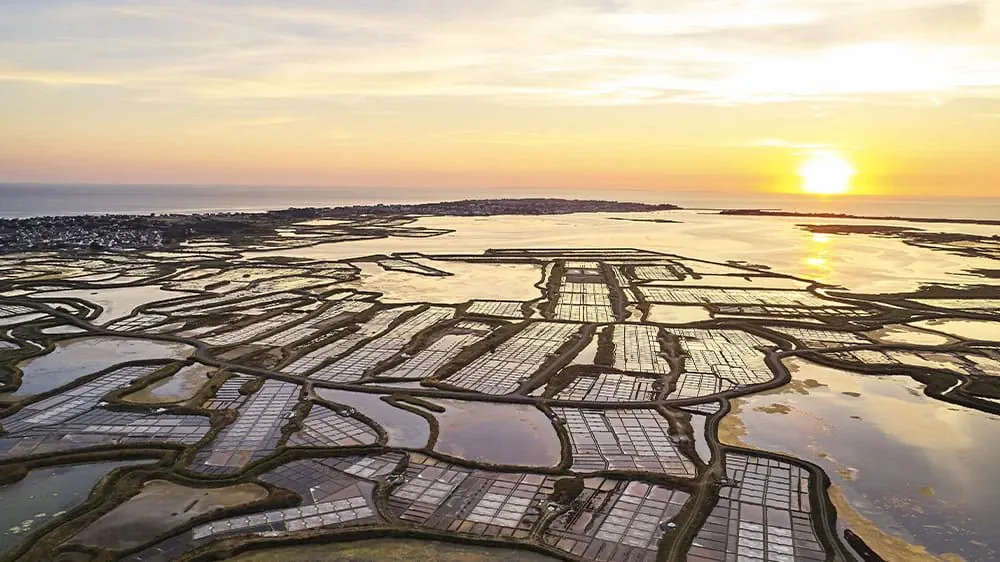 Marais Guerandealexandrelamoureux Validite2028 Drn - France