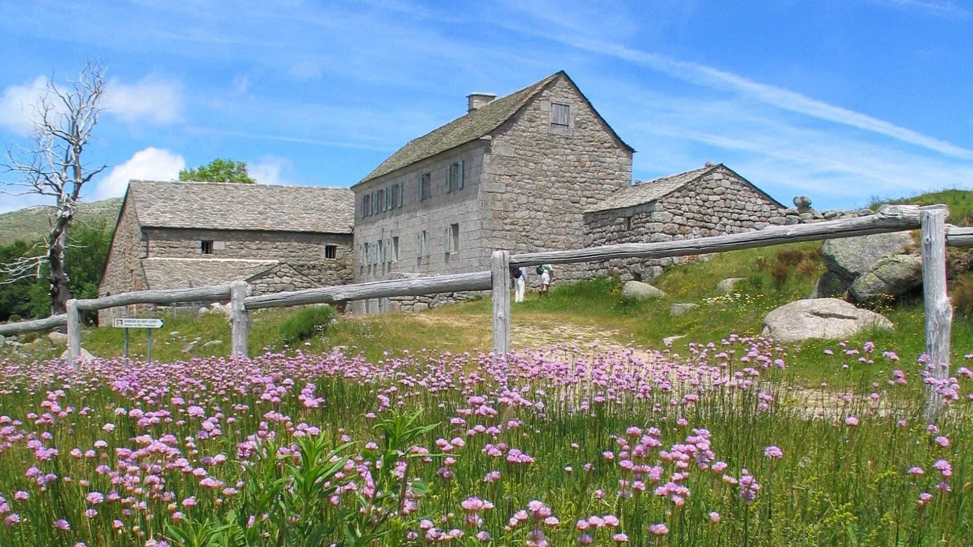 Mas Camargue - France - mas-camargue-france-2