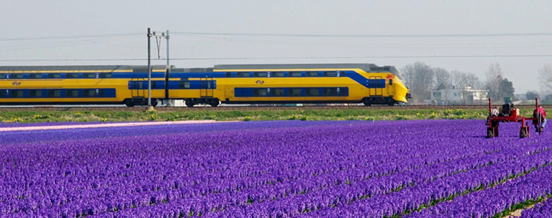 Pause repas à Aletsch - Suisse © Oriane Tempé