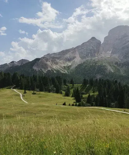 Pont médiéval de Dolceacqua - Ligurie - Italie