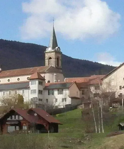 Rencontre avec bouquetin au Grand Veymont - Vercors - France