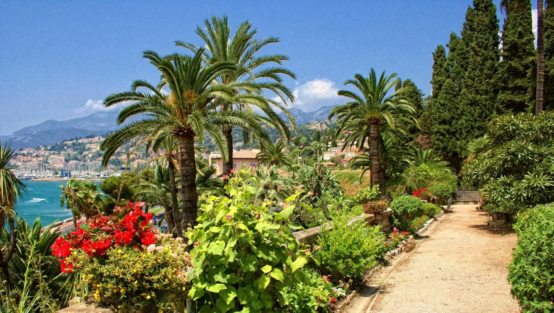 Menton Citronneraie Colline De Lannonciade - France