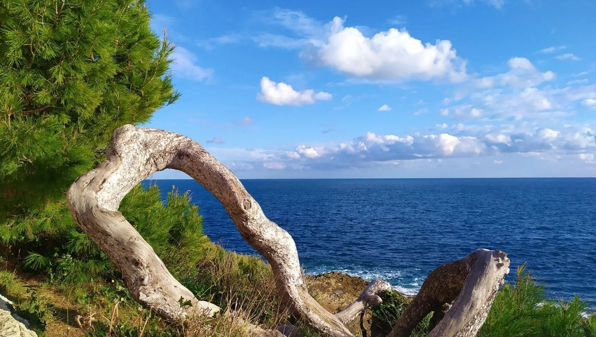 Menton Dec 19 1 C Pierre Paillat - France