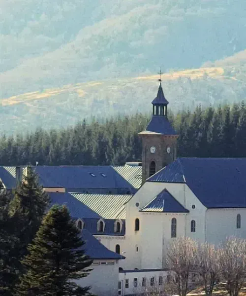 Abbaye de Moissac et son cloître - Tarn-et-Garonne - France