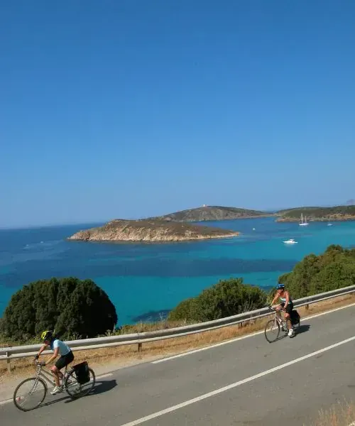 Mont Aiguille à travers la végétation - Vercors - France