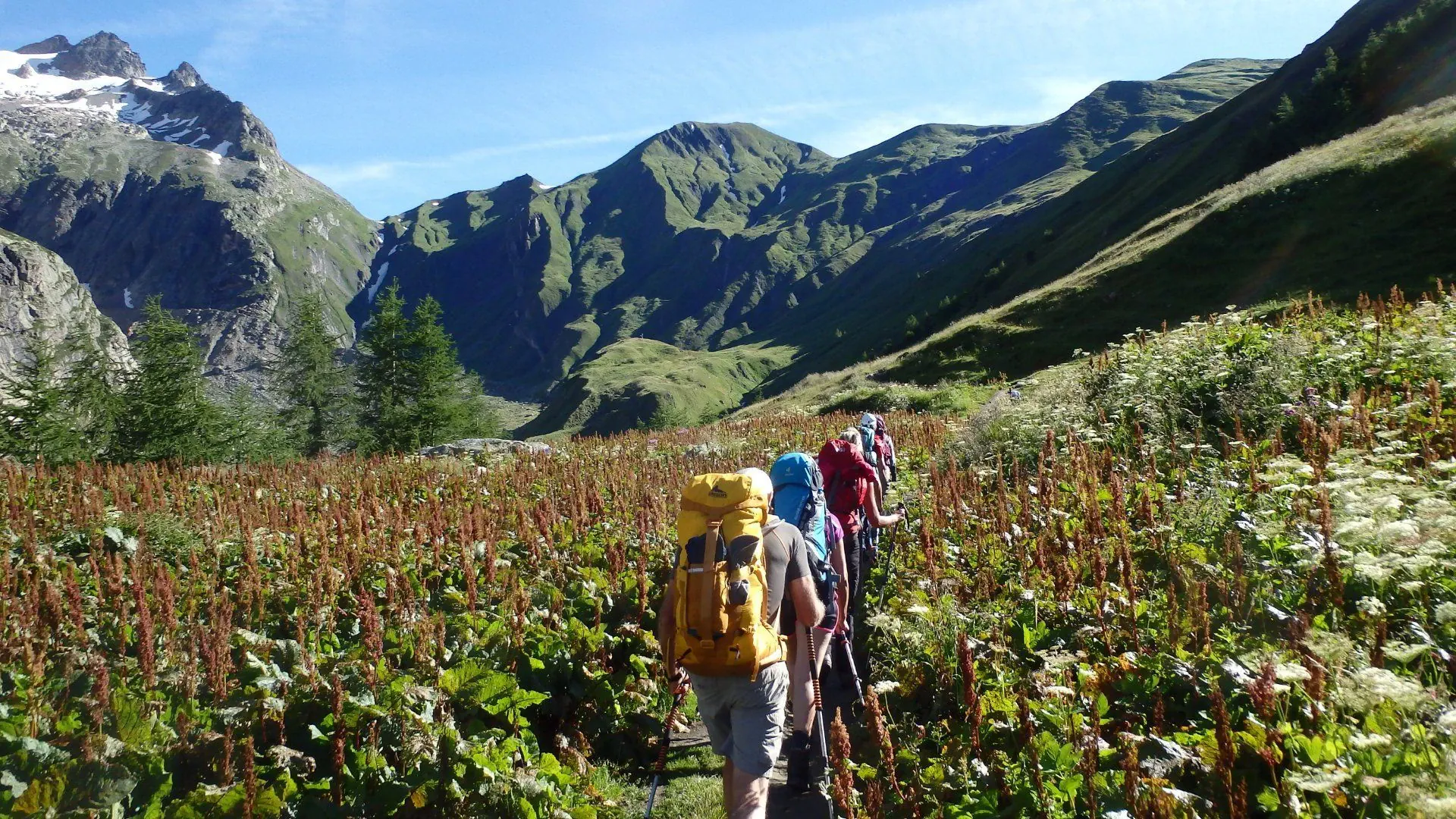Vue sur le Mont-Blanc depuis le col du Bonhomme - France