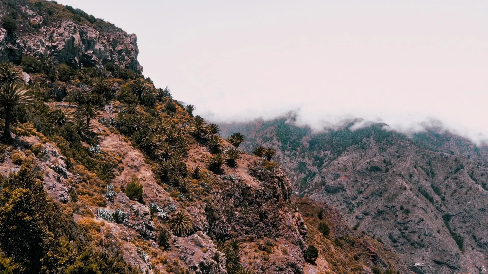 Montage Claudia Manas Unsplash - Espagne