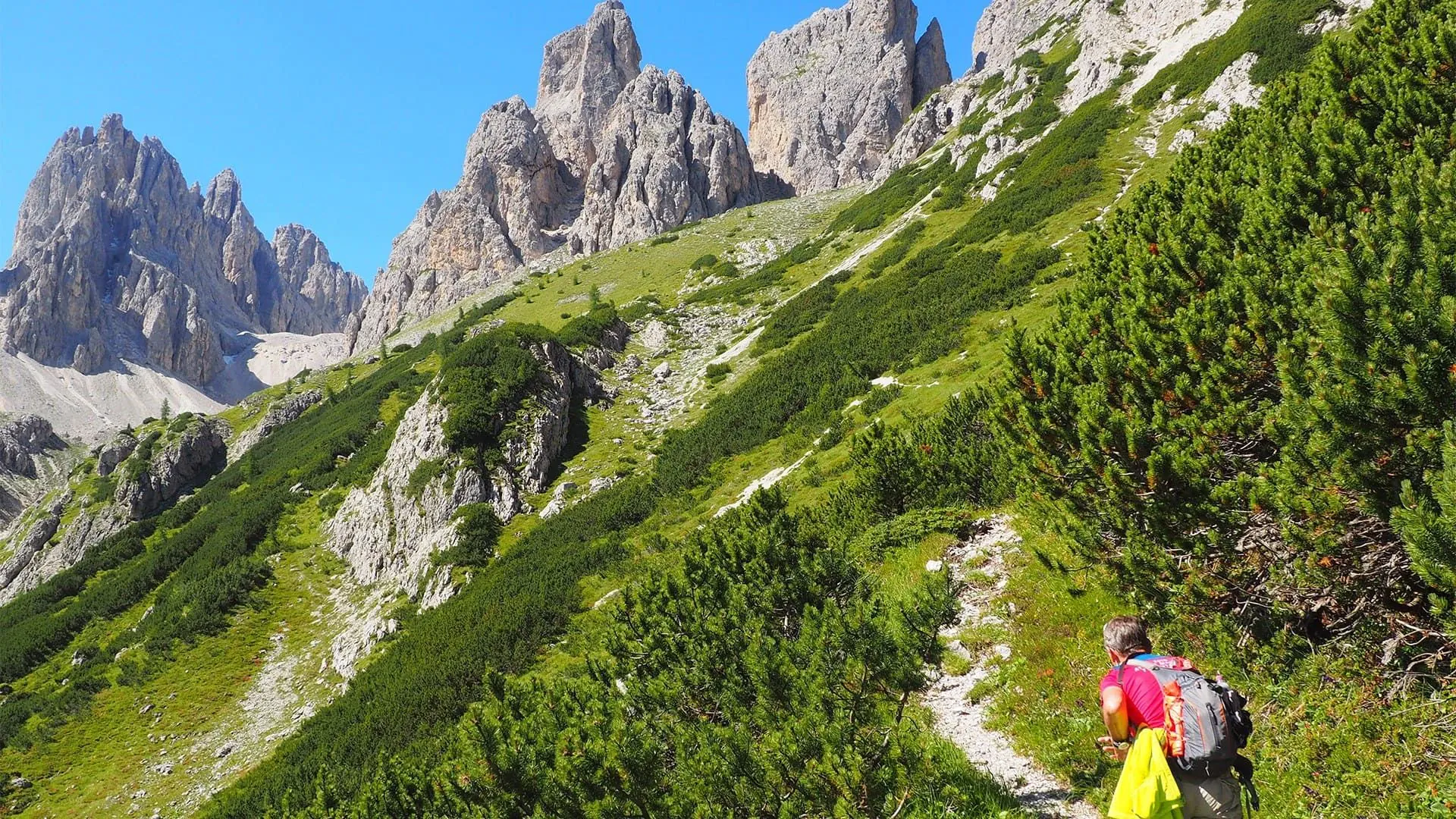 Montee Dans Le Val De Le Cianpedele Dolomites Cthomas Praire - Dolomites - Italie