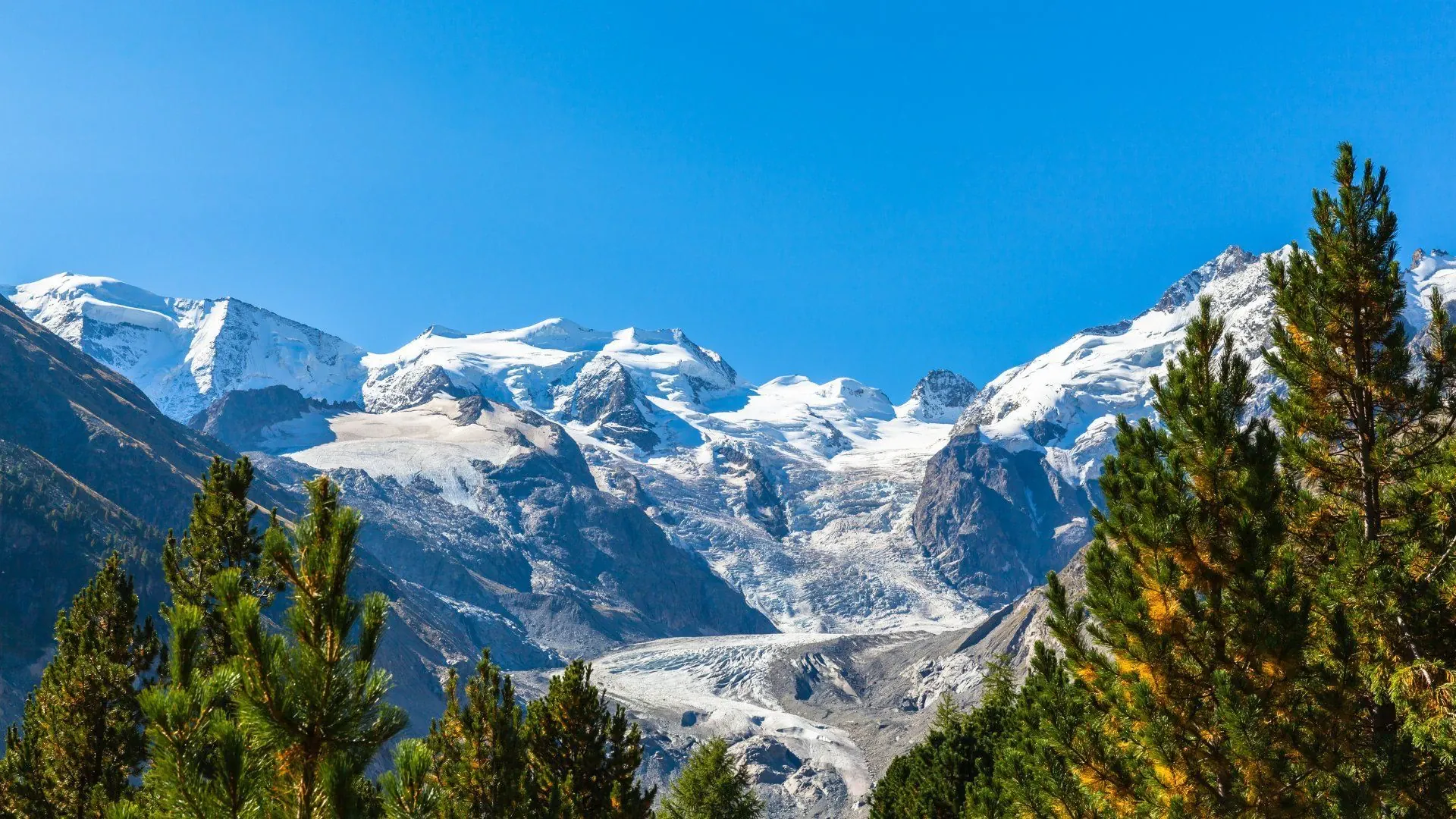 Vignobles de Moravie à vélo - Tchéquie