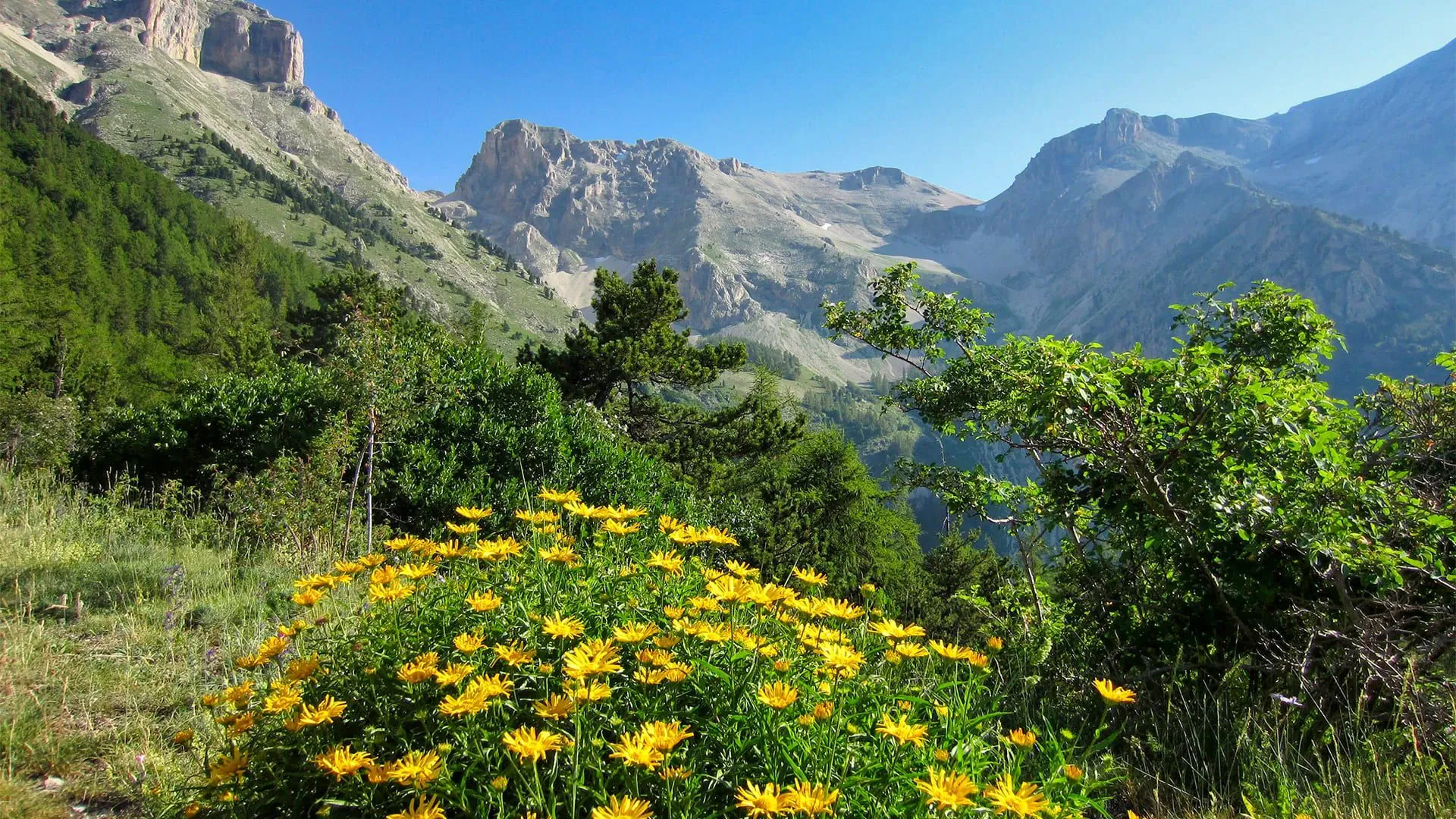 Paysage du Morvan - Bourgogne - France