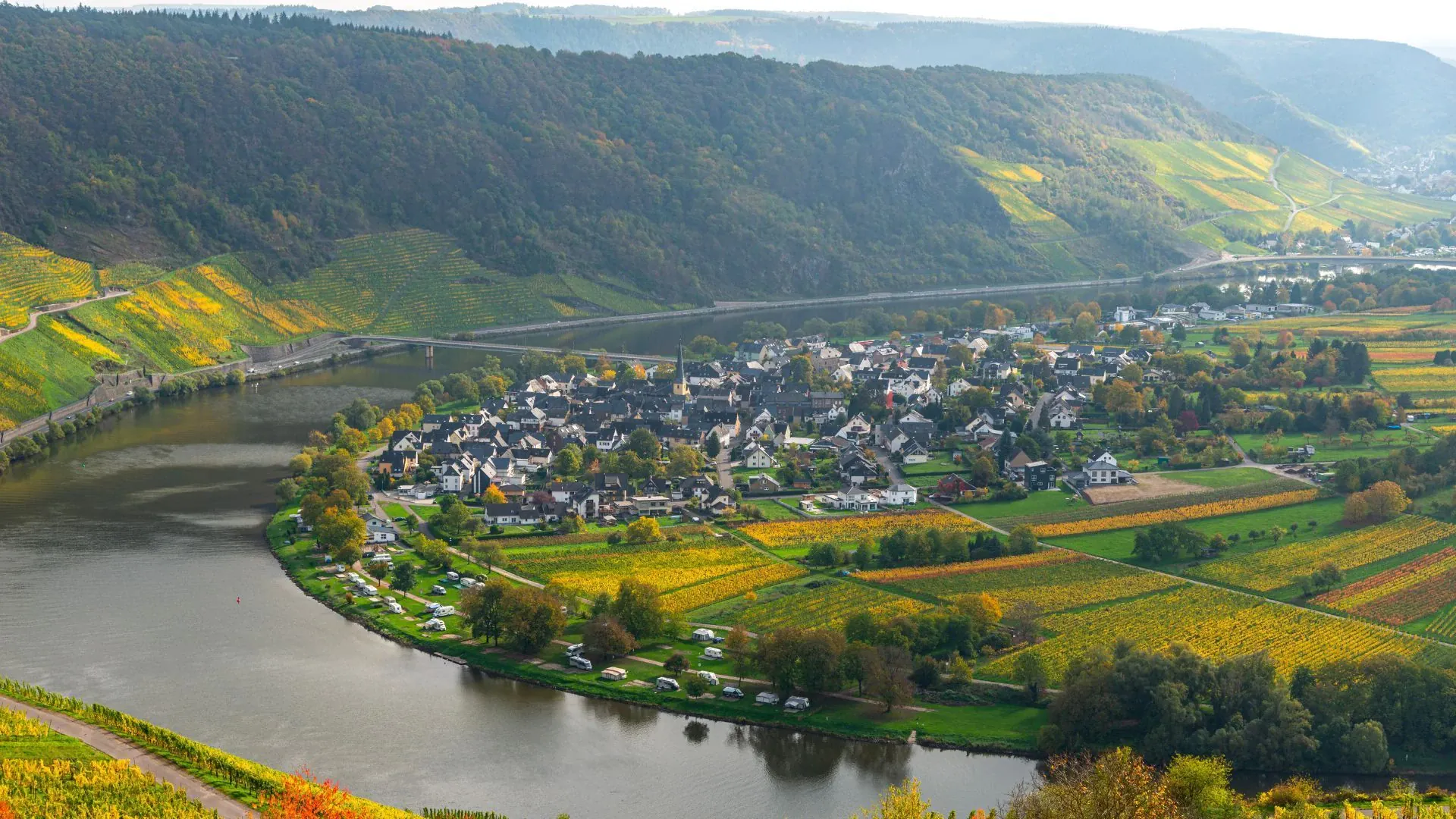 Moselle vigne - France