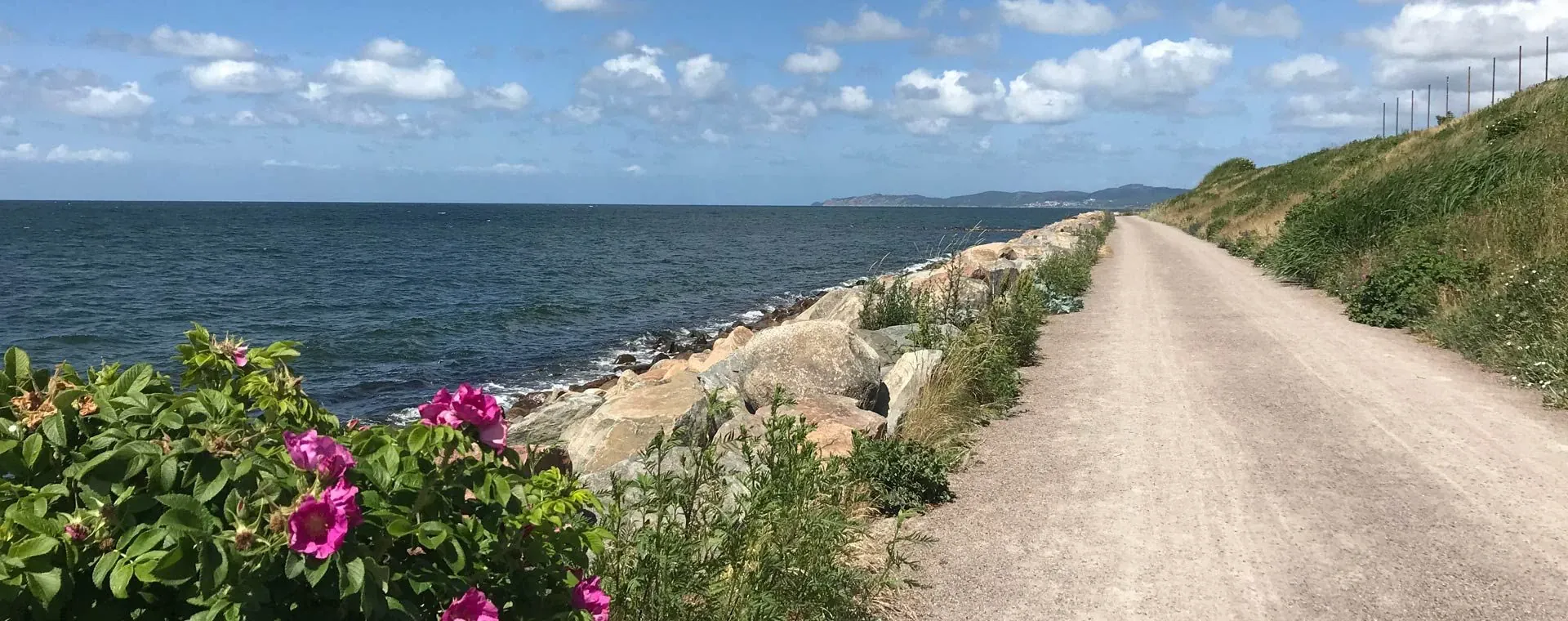 Piste VTT dans les vignes de Banyuls - Pyrénées-Orientales - France © Quentin Vanaker