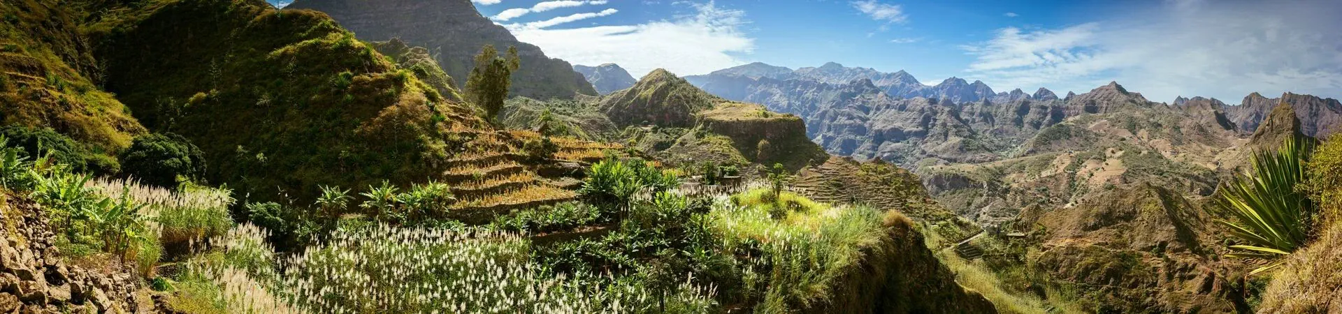 Panorama de montagnes et terrasses cultivees - Ile de Santo Antao - Cap-Vert