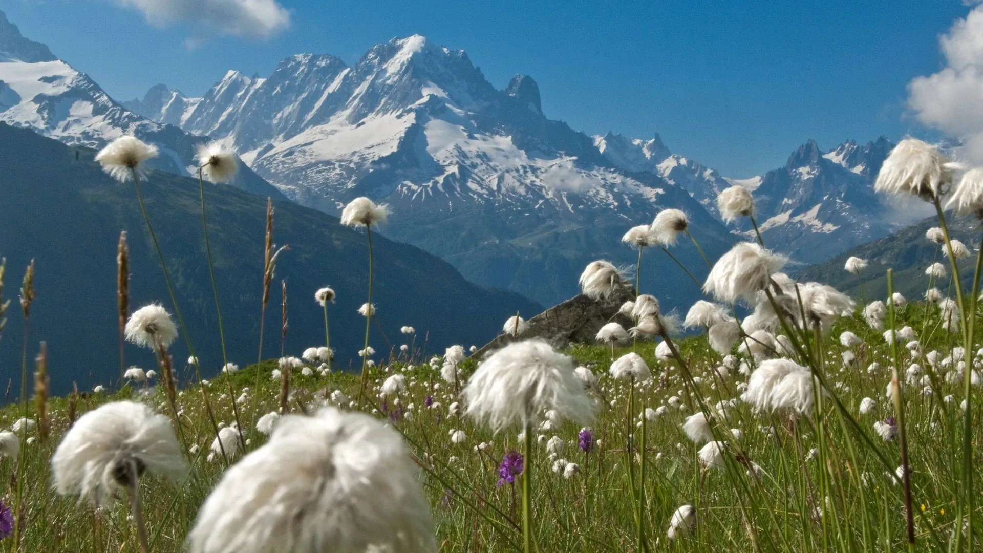 Refuge de montagne avec vue sur les glaciers - Mont-Blanc