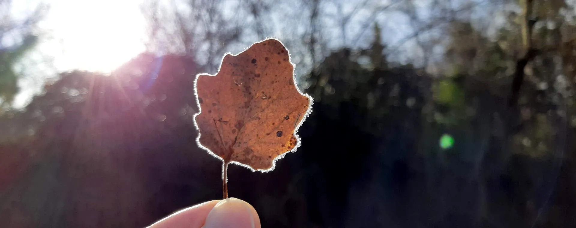 Reveillon a Saint-Veran - Queyras - France