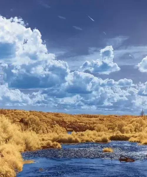 Reveillon raquettes dans les Vosges - France