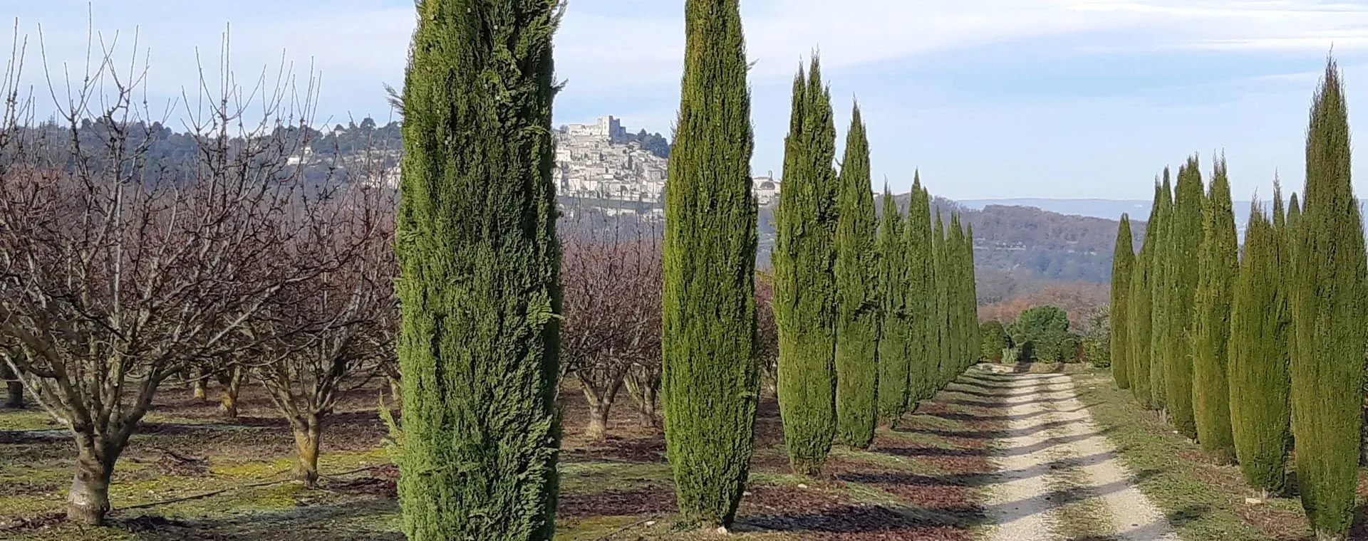 Randonnee du Nouvel An dans le Luberon - Provence - France