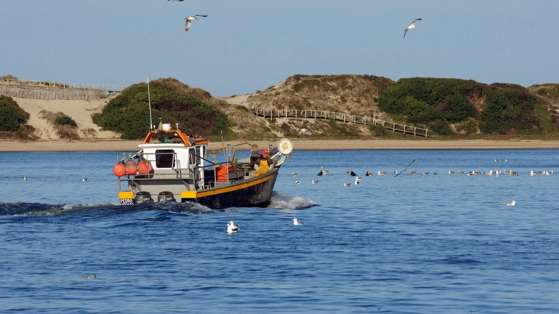 Saut à ski nordique - Jura - France