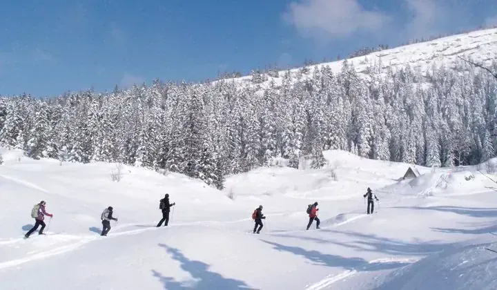 Ski de randonnée nordique sur les crêtes du Jura - France