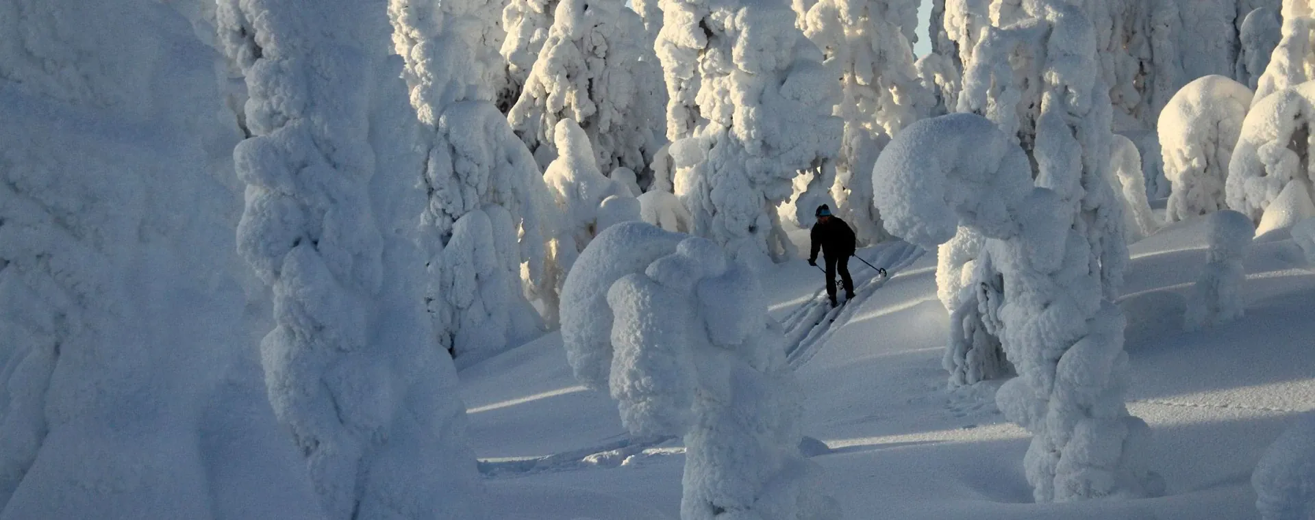 Ski de randonnée nordique sur la Kungsleden - Laponie - Suède