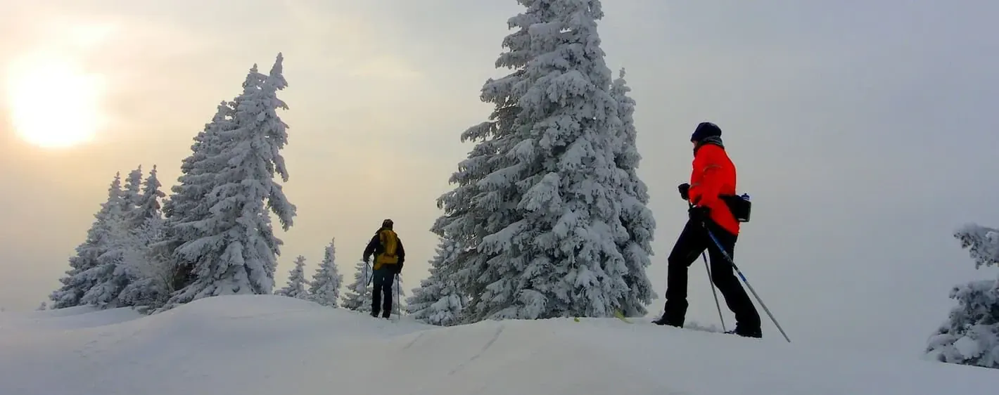 Ski nordique en Norvege