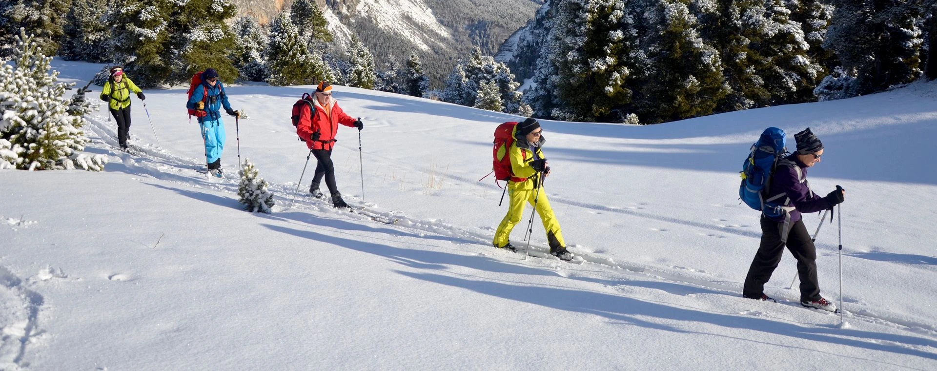 Ski nordique au coeur du Vercors - France