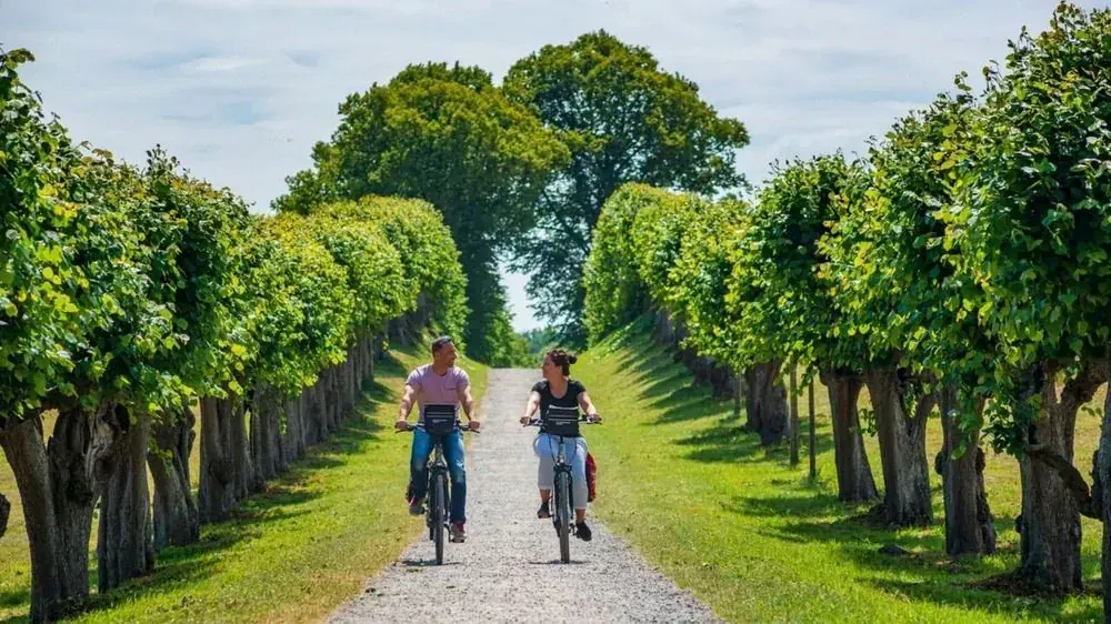 Marche nordique au Bassin d'Arcachon - France