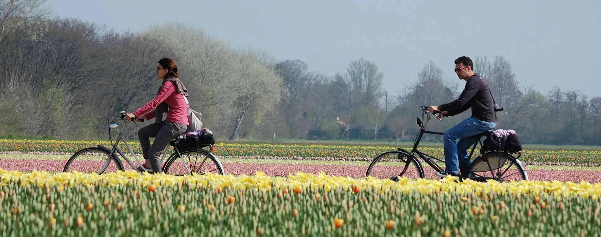 Nord Hollande - Pays-Bas - north-hollande-pays-low-2