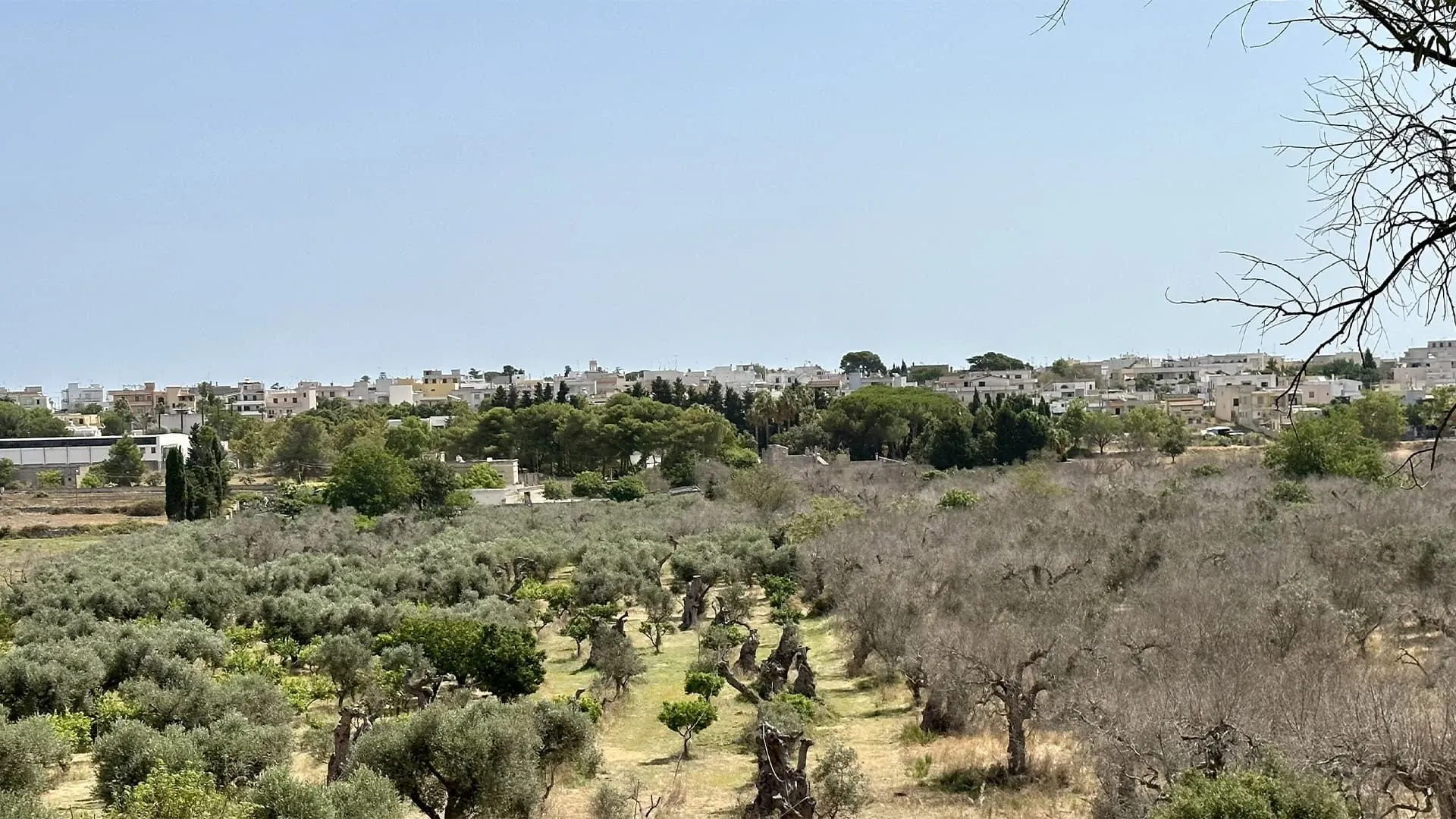 Paysage de la Mer du Nord - Allemagne