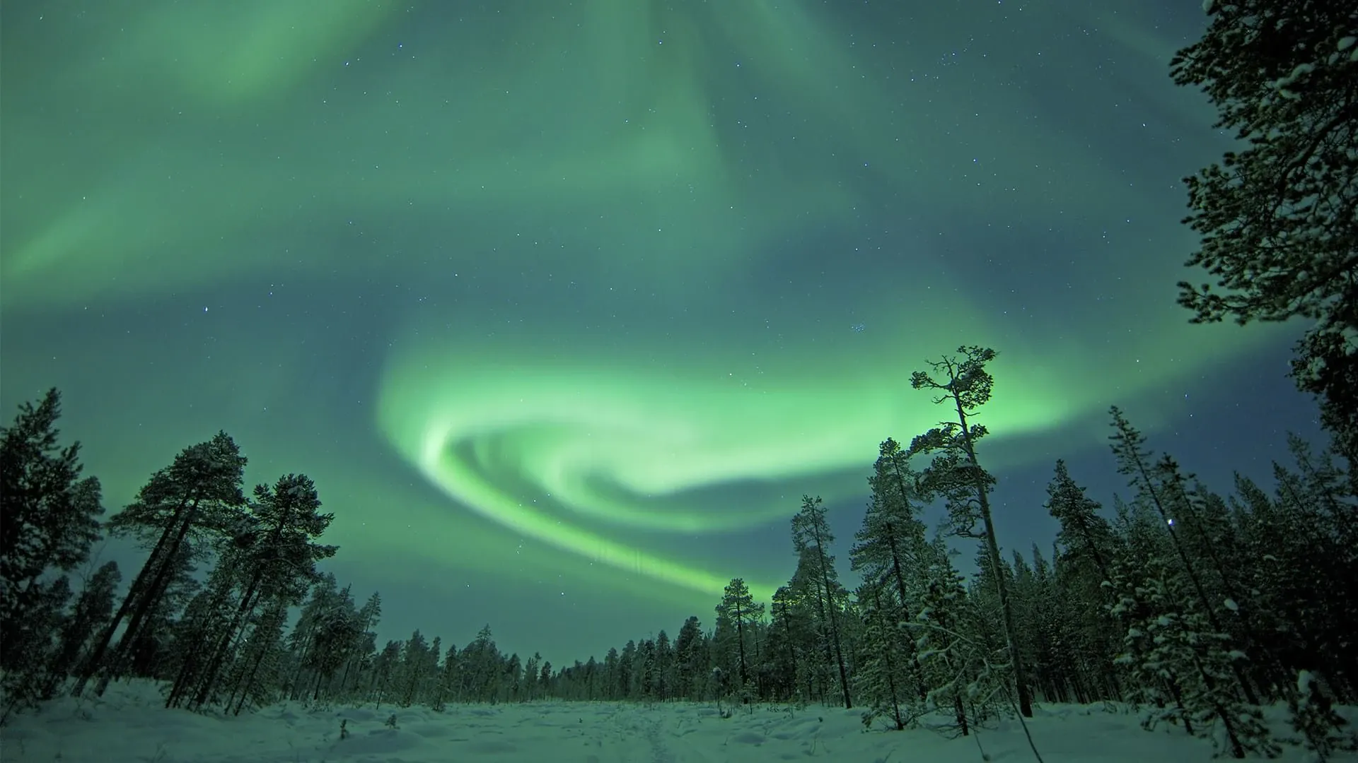 Aurores boréales aux îles Lofoten - Norvège