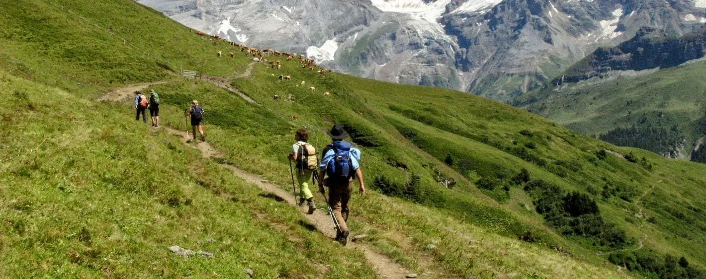 Oberland 15 - Suisse