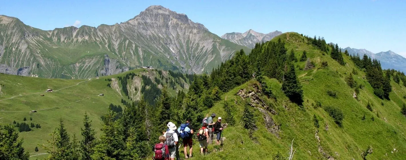 Oberland 19 - Suisse