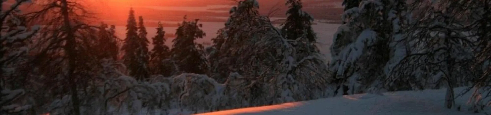 Coucher de soleil orange sur foret enneigee - Laponie - Finlande