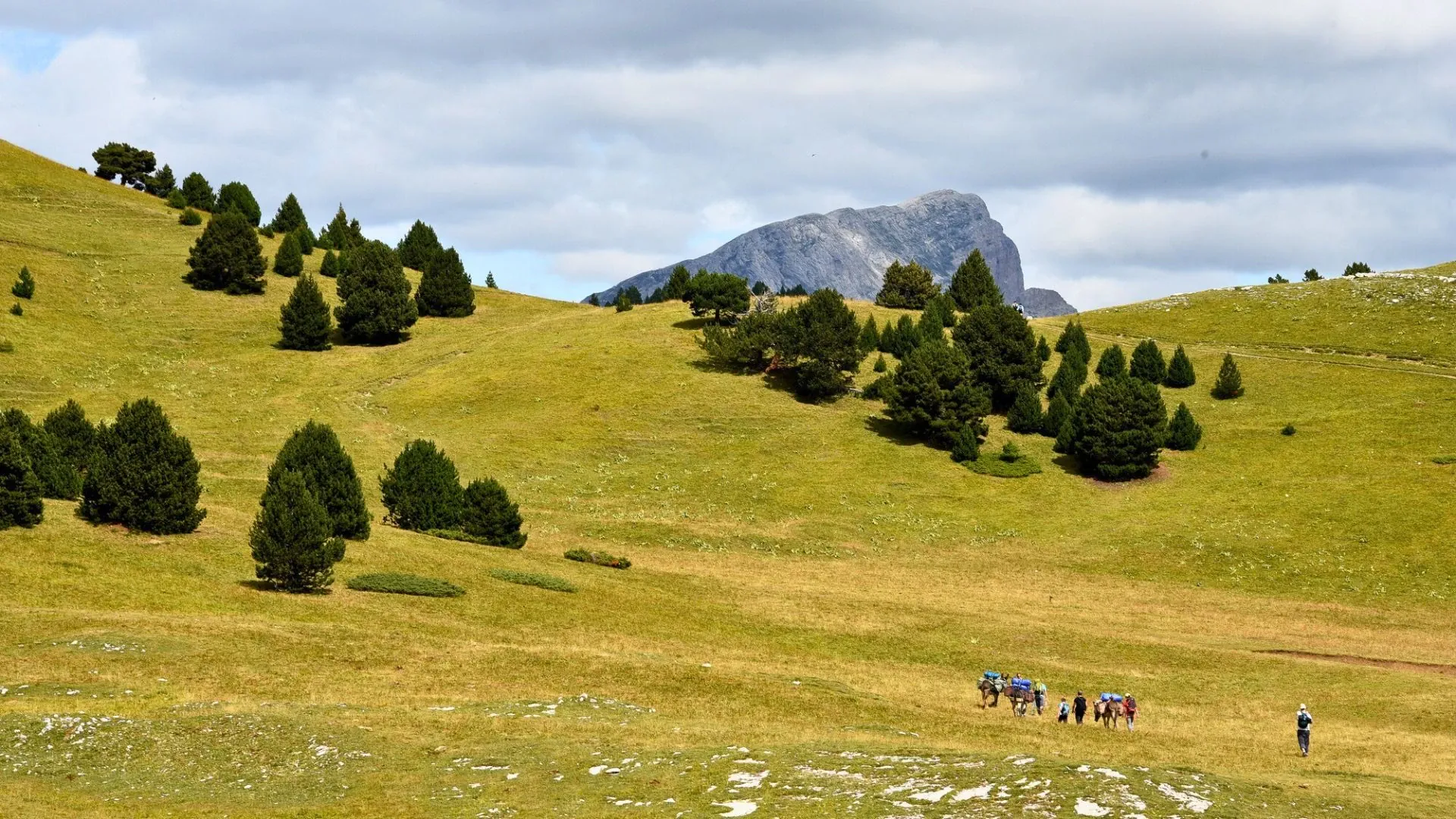 Baie de Paleokastritsa - Corfou - Grece