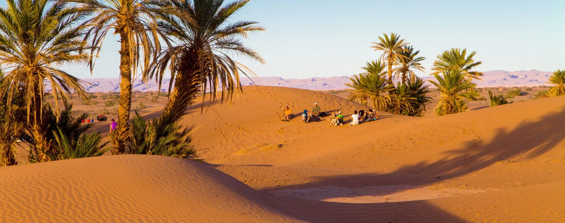 Palmiers Groupe Randonneurs Desert Sud Marocain
