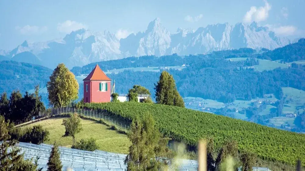 Panorama Alpes Depuis Immenstaad Allemagne - Alpes