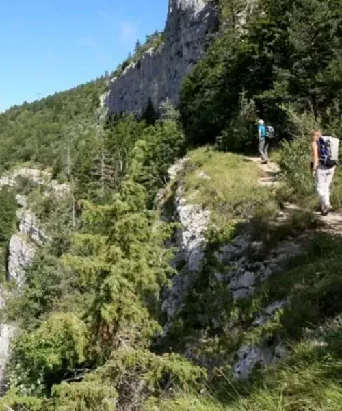 Sentier panoramique vers Oberstdorf - Bavière - Allemagne © Wilfried Valette