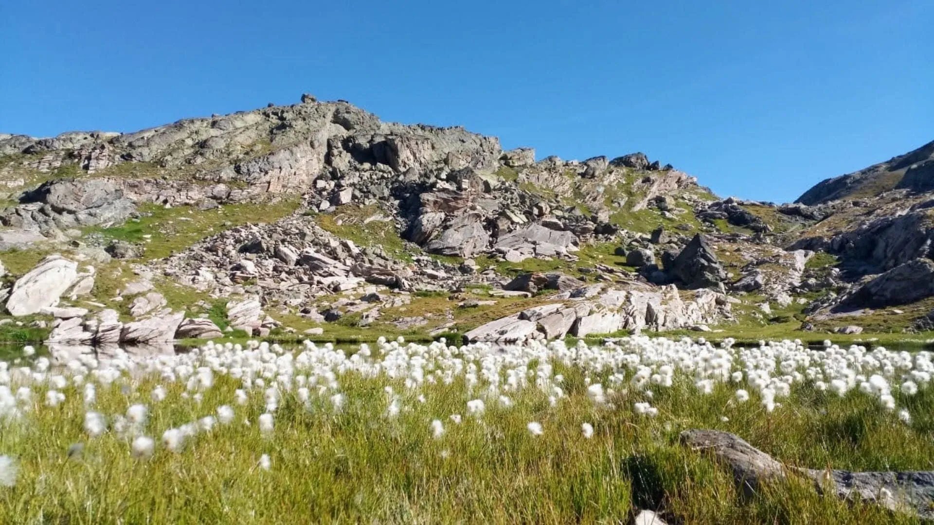 Sentiers panoramiques du Queyras - Alpes du Sud - France - panoramic-trails-of-queyras-southern-alps-france-4