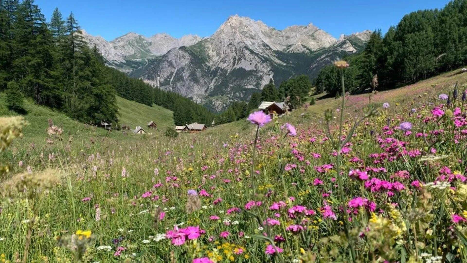 Sentiers panoramiques du Queyras - Alpes du Sud - France