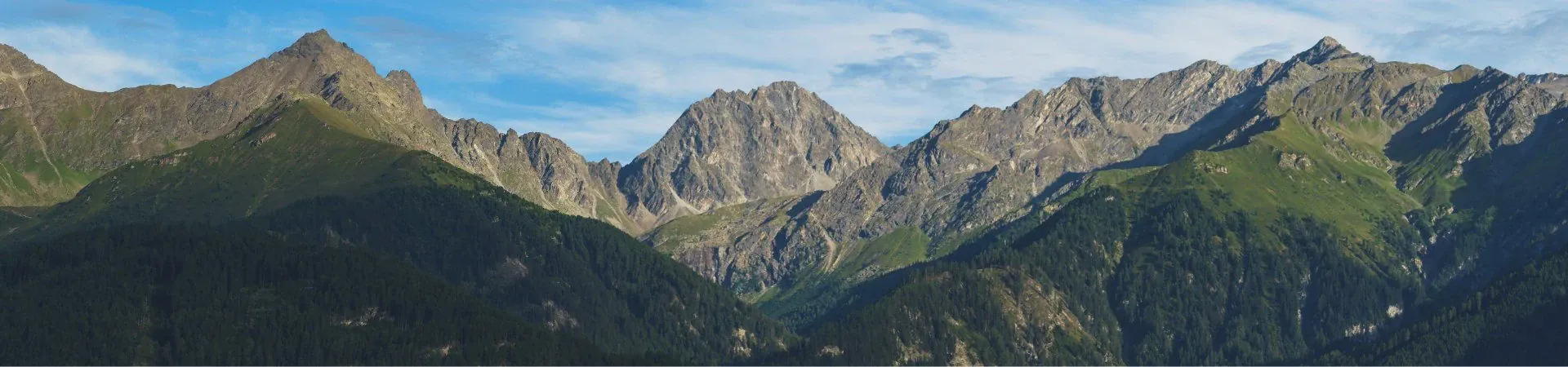 Panorama de sommets alpins et forets de montagne - Alpes