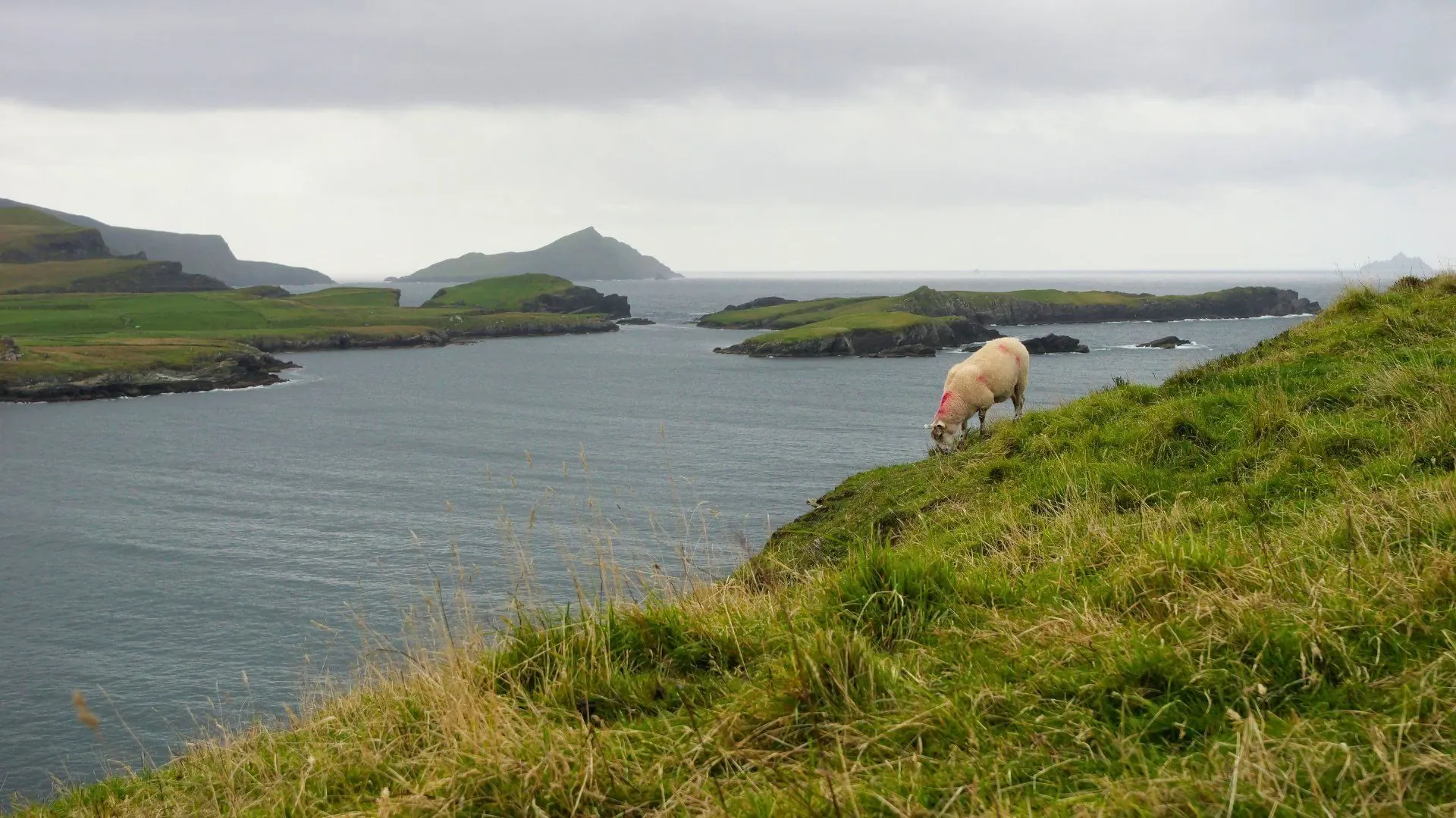 Vue panoramique sur l'Anneau du Kerry - Irlande