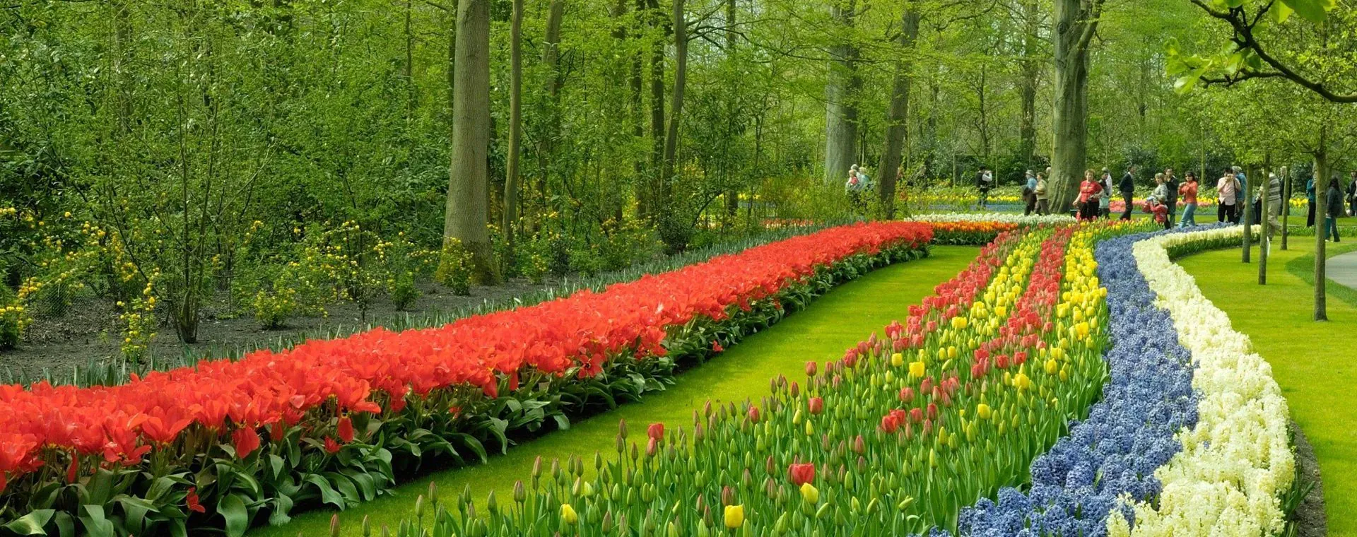 Parc Floral Keukenhof Hollande - Pays-Bas