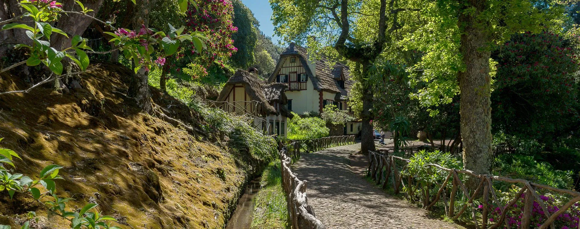 Parc Forestier Queimadas Santana - Portugal